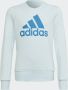 Adidas Sportswear Essentials Sweatshirt - Thumbnail 1