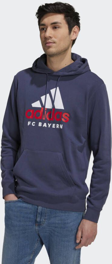 Adidas Performance FC Bayern München DNA Graphic Hoodie