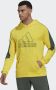 Adidas Sportswear Future Icons Embroidered Badge of Sport Hoodie - Thumbnail 1