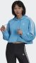 Adidas Originals Sweatshirt ADICOLOR CLASSICS CROP HOODIE - Thumbnail 1
