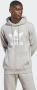 Adidas Klassieke Trefoil Lichtgewicht Hoodie Grijs Gray Heren - Thumbnail 3