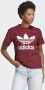 Adidas Originals T-shirt ADICOLOR CLASSICS TREFOIL - Thumbnail 2
