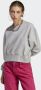Adidas Originals Grijze Adicolor Essentials Crew Sweater Gray Dames - Thumbnail 1