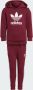 Adidas Originals Adicolor Hoodie Set - Thumbnail 1