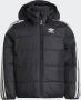 Adidas Originals Down Jackets Zwart - Thumbnail 1