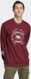 Adidas Originals Graphics Archive Sweatshirt Sweaters Kleding shadow red maat: M beschikbare maaten:S M L - Thumbnail 1