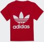 Adidas T-shirt Korte Mouw TREFOIL TEE - Thumbnail 1