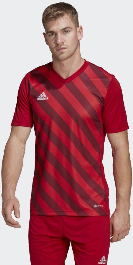 Adidas Performance Entrada 22 Graphic Voetbalshirt