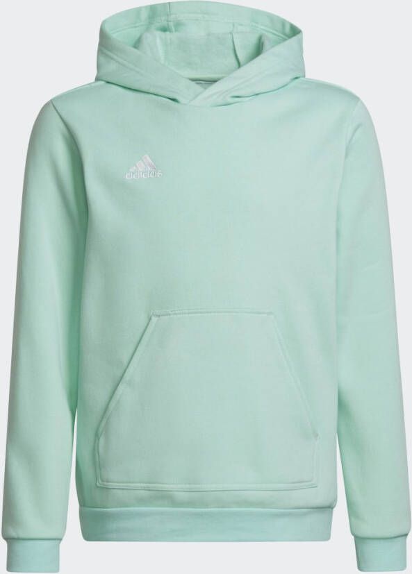 Adidas Perfor ce Entrada 22 Sweat Hoodie