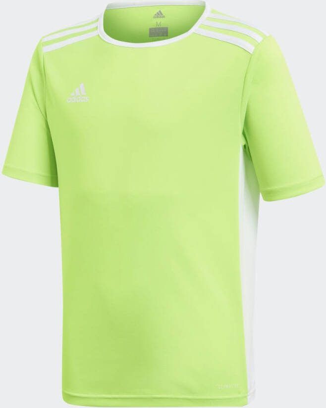 Adidas T-shirt Korte Mouw Kentrada 18 Jersey