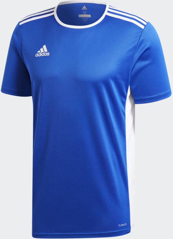 Adidas T-Shirt Entry 18 Azul Blauw Voetbalshirt