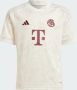 Adidas Perfor ce FC Bayern München 23 24 Derde Shirt Kids - Thumbnail 1