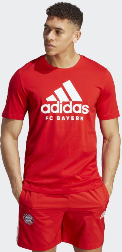Adidas Performance FC Bayern München DNA Graphic T-shirt