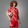 Adidas Performance FC Bayern München Pre-Match Voetbalshirt - Thumbnail 1