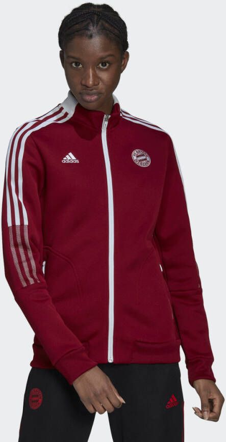 Adidas Performance FC Bayern München Tiro Anthem Jack