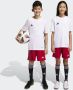 Adidas Performance Tiro 23 League Short - Thumbnail 1