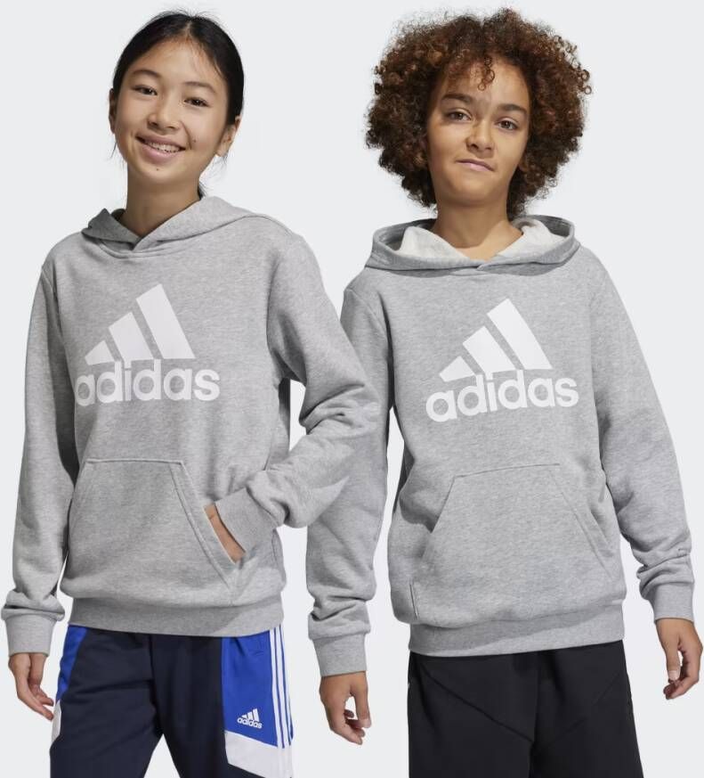 Adidas Sportswear Big Logo Essentials Katoenen Hoodie
