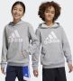 Adidas Sportswear Big Logo Essentials Katoenen Hoodie - Thumbnail 1
