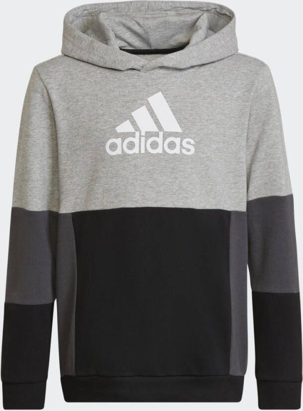 Adidas Sportswear Sweatshirt COLOURBLOCK HOODIE