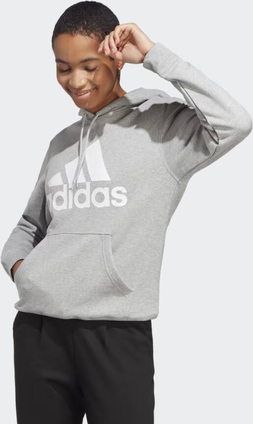 Adidas Sportswear Essentials Big Logo Regular French Terry Hoodie