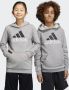 Adidas Sportswear Essentials Two-Colored Big Logo Katoenen Hoodie - Thumbnail 2