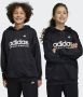 Adidas Sportswear Football Celebration Hoodie - Thumbnail 1