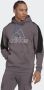 Adidas Sportswear Sweatshirt FUTURE ICONS EMBROIDERED BADGE OF sport fleece-hoody - Thumbnail 1