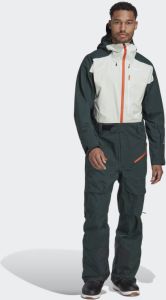 Adidas TERREX 3-Layer GORE-TEX Sneeuwpak