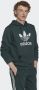 Adidas Originals Hoodie ADICOLOR CLASSICS TREFOIL HOODIE - Thumbnail 4