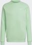 Adidas Originals Sweatshirt TREFOIL ESSENTIALS CREW NECK ADICOLOR ESSENTIALS TREFOIL - Thumbnail 6