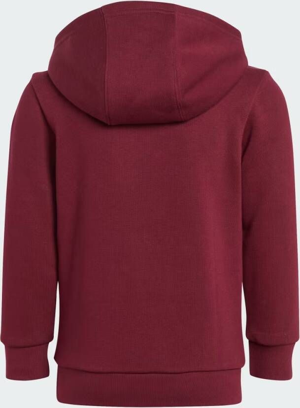 Adidas Originals Adicolor Hoodie Set