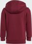 Adidas Originals Adicolor Hoodie Set - Thumbnail 2