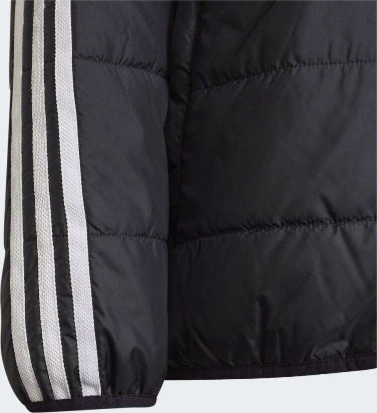 Adidas Originals Adicolor Jack
