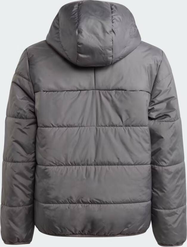 Adidas Originals Adicolor Jack