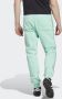 Adidas Groene Seizoensarchief Sweatpants Mannen Blue Heren - Thumbnail 3