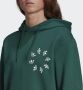 Adidas Originals Hoody Hc4491 Groen Heren - Thumbnail 5