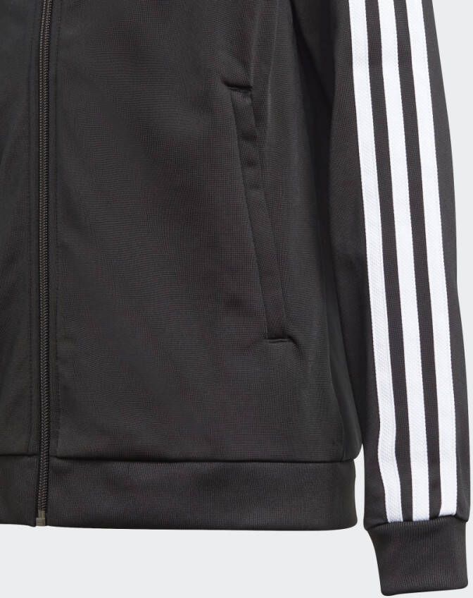 Adidas Originals Adicolor SST Trainingsjack