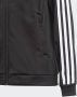 Adidas Originals Adicolor Superstar Trainingsjack Trainingsjassen Kleding Primeblue maat: 134 beschikbare maaten:134 140 152 - Thumbnail 5