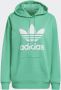 Adidas Vrouwen sweatshirt trf hoodie he6954 Groen Dames - Thumbnail 7