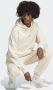 Adidas Outdoor Adventure Hoodie Beige Heren - Thumbnail 3
