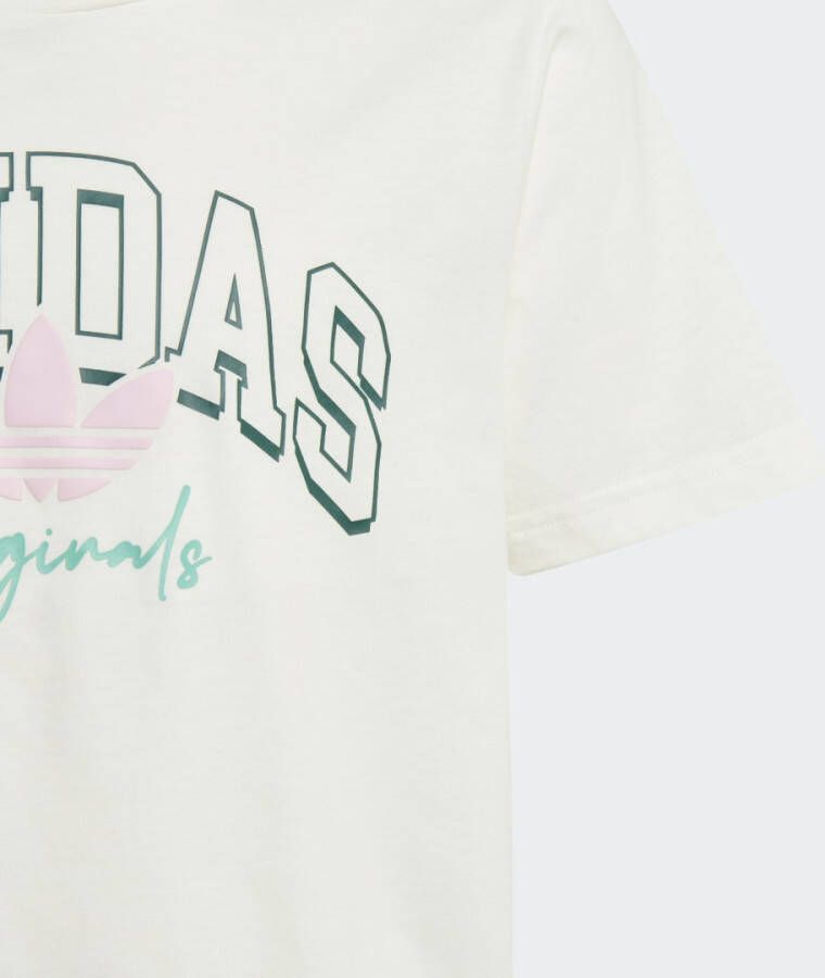 Adidas Originals Collegiate Graphic Pack BF T-shirt