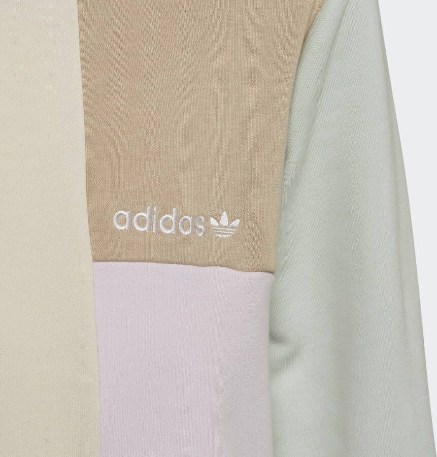 Adidas Originals Colorblock Hoodie