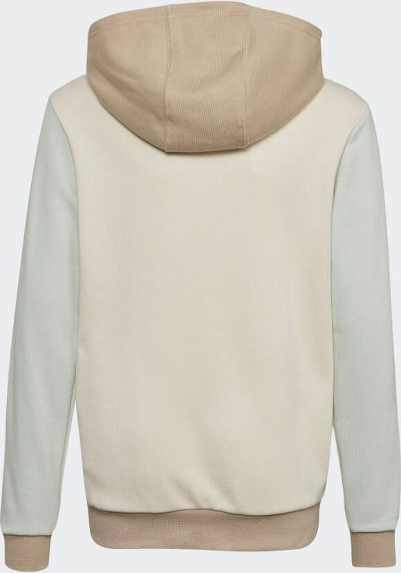 Adidas Originals Colorblock Hoodie