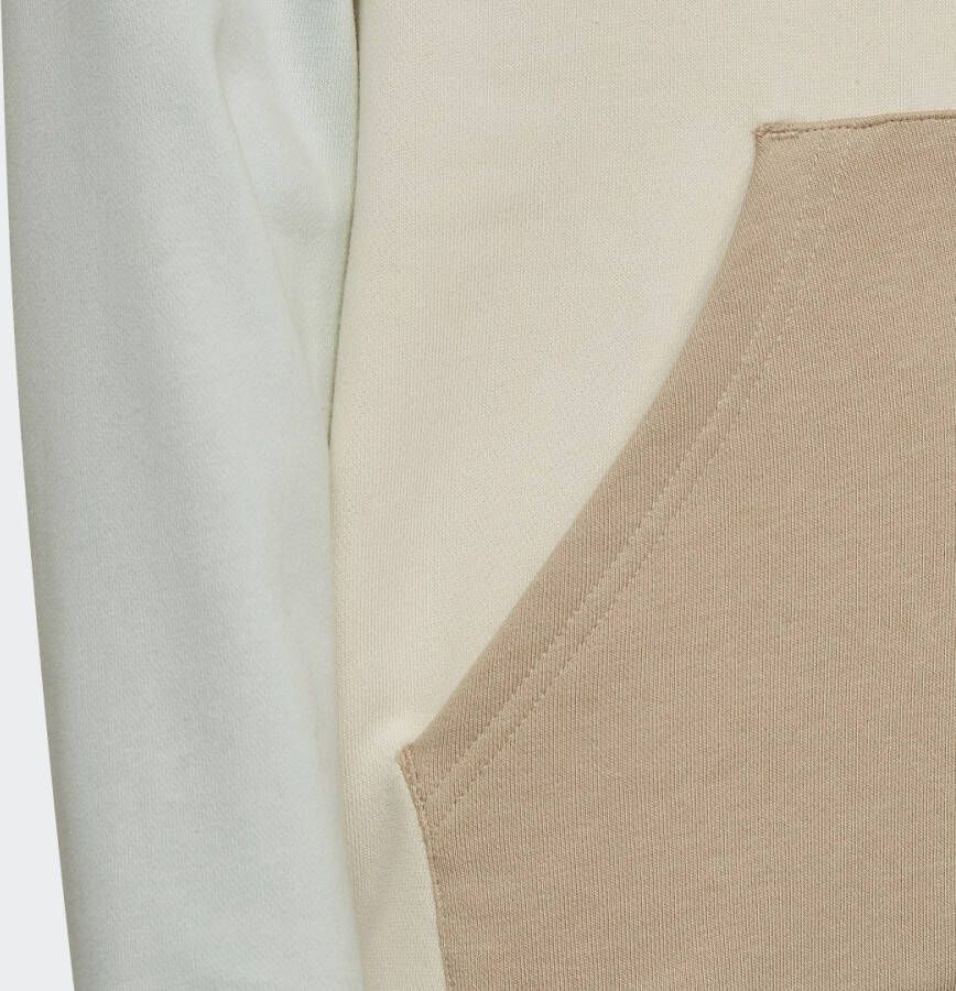 Adidas Originals Colorblock Hoodie