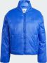 Adidas Originals Adicolor Padded Winter Jas Pufferjassen Kleding lucid blue maat: XS beschikbare maaten:XS S M L - Thumbnail 4
