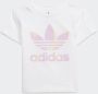 Adidas Originals Graphic Logo Short en T-shirt Set - Thumbnail 4
