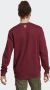 Adidas Originals Graphics Archive Sweatshirt Sweaters Kleding shadow red maat: M beschikbare maaten:S M L - Thumbnail 4