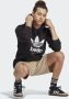 Adidas Originals Icone Berlin City Originals Hoodie - Thumbnail 2