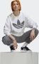 Adidas Originals Pavement Surfing Oversized Sweatshirt Sweaters Kleding white maat: L beschikbare maaten:XS S L - Thumbnail 6