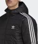Adidas Originals Puffer-jacke Mit Kapuze Pufferjassen Kleding black maat: L beschikbare maaten:S L - Thumbnail 6